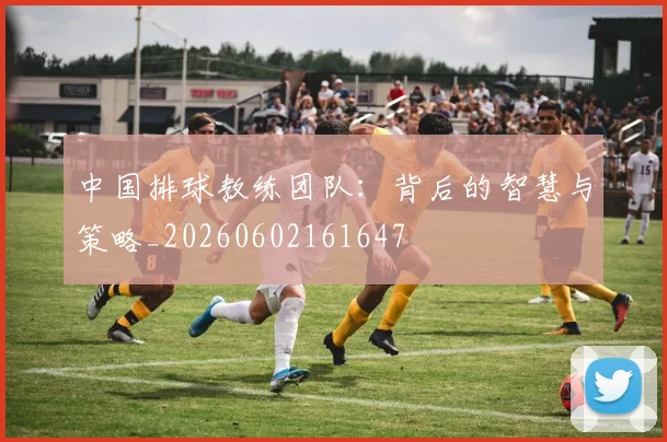 中国排球教练团队：背后的智慧与策略_20260602161647